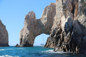 Baja Endless Summer